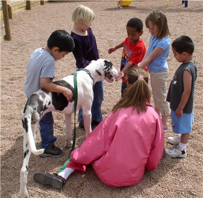 Four Exciting Ways to Teach Your Child about Animals