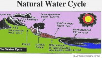 Teaching Kids the Steps of the Water Cycle Through Video