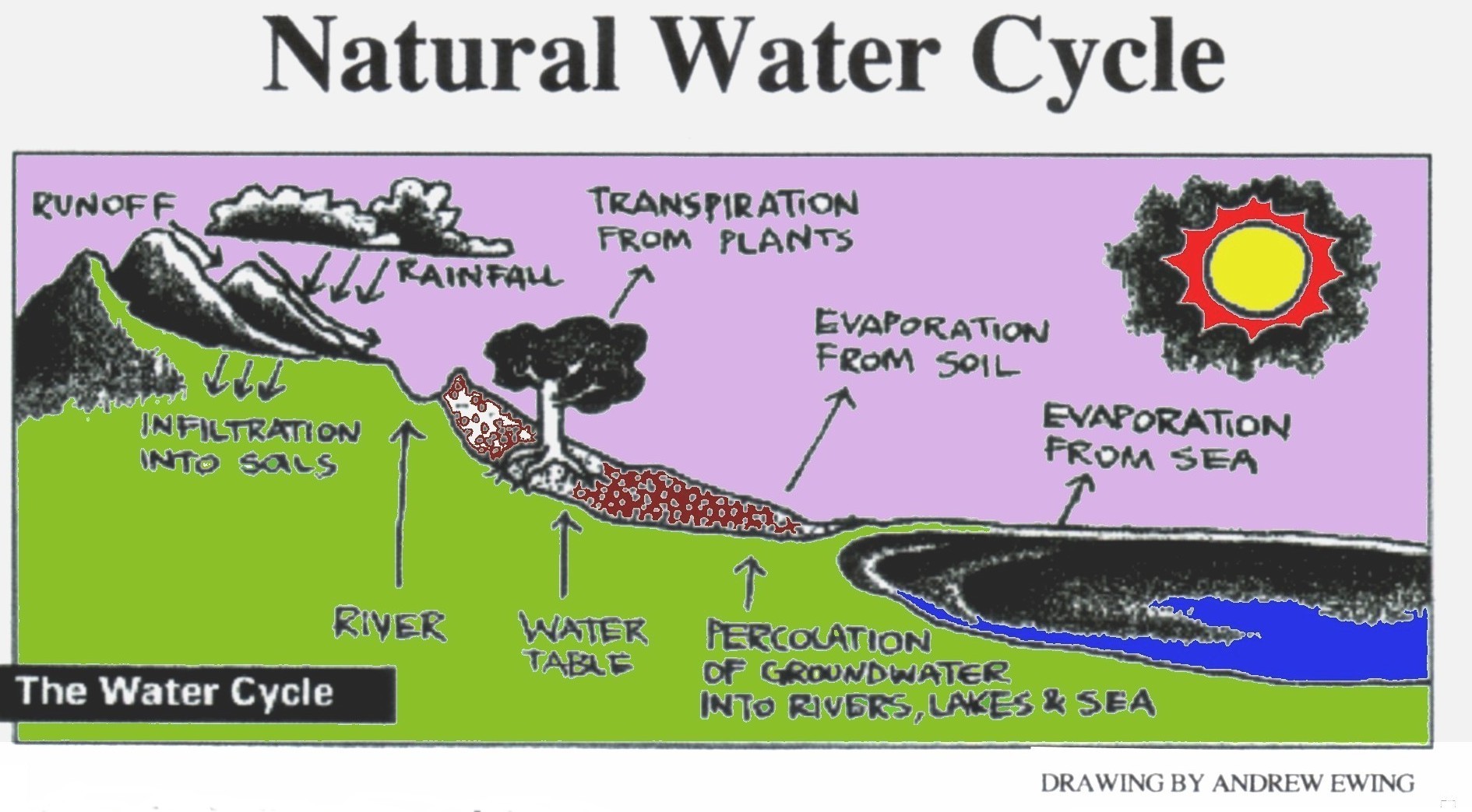 diagram-explanation-of-water-cycle-with-the-help-of-diagram