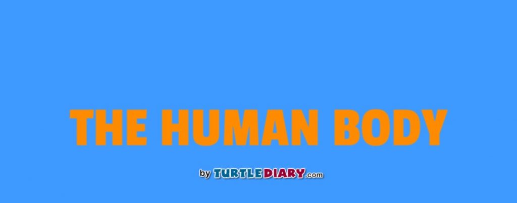 human body game